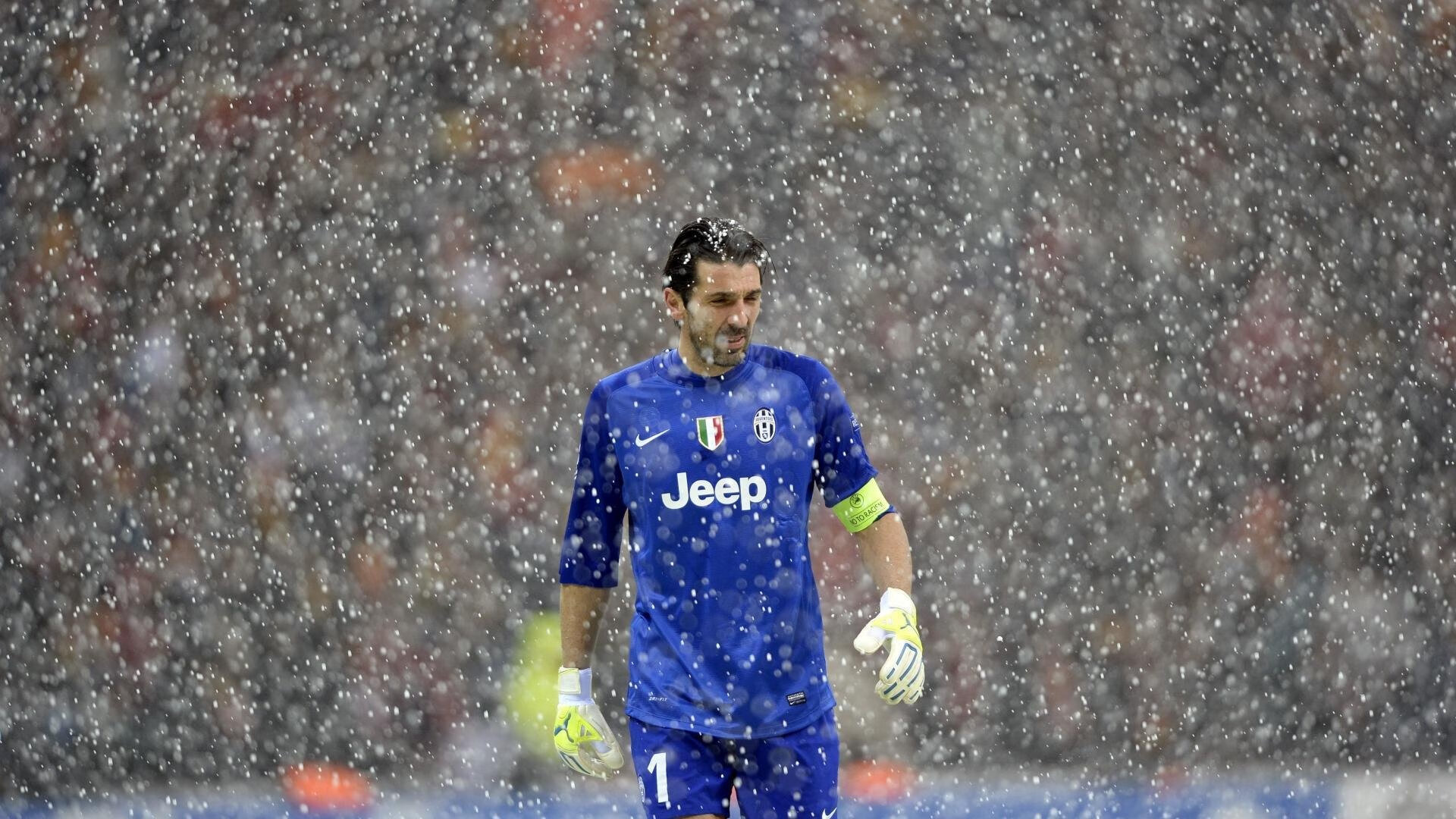 谢菲联在英冠联赛中获得冠军,升入英超,英冠谢菲尔德联